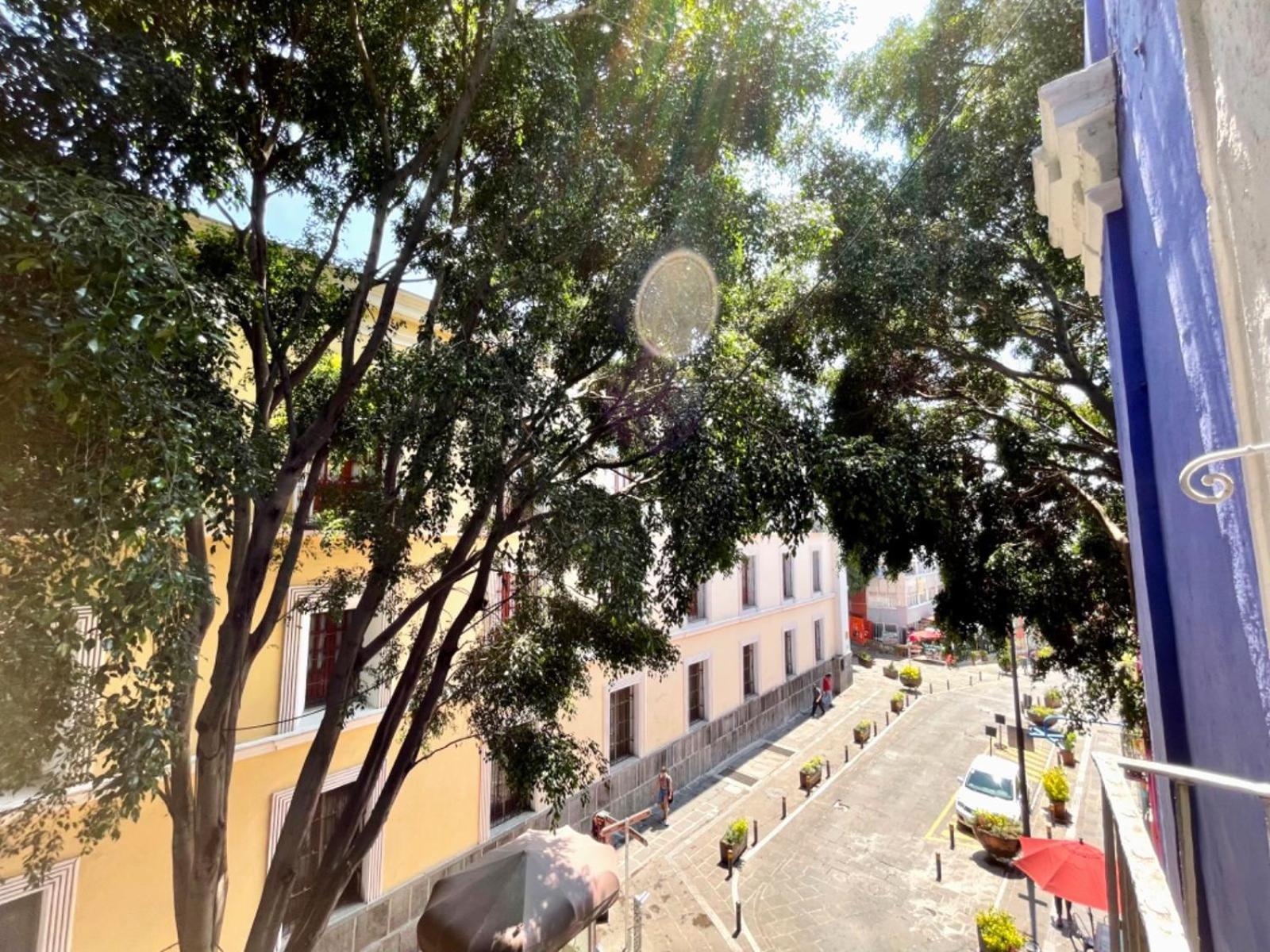 Casa Jaguar By Rotamundos Apartment Puebla Ngoại thất bức ảnh